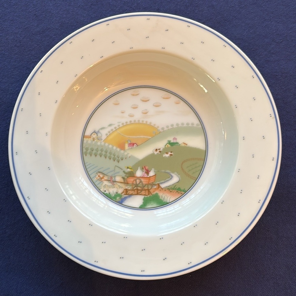 👨‍🌾 STUDIO NOVA ROLLING HILLS SINGLE PLACE SETTING W/ CHIPPED SALAD PLATE - Picture 4 of 8